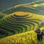 The Best Sapa Tour 2D1N At 3 Star Hotel by sleeping BUS TRANSFER - Who Should Consider This Tour?