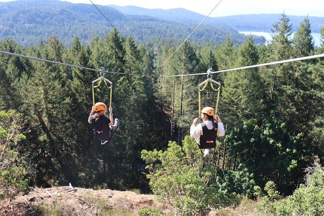 The Big Zip Experience - A Detailed Look at The Big Zip Experience