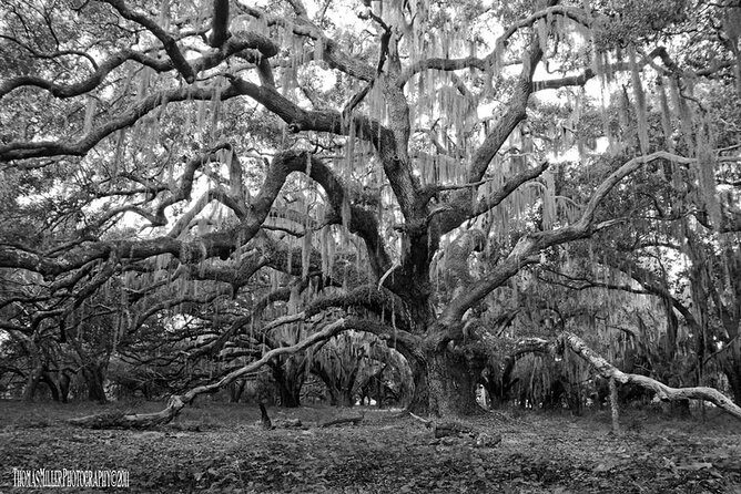 The Blackest Ghost Tour Ages 17 and Above - Who Will Love This Tour?