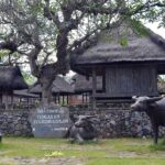 The Charm of east Bali and Blue Lagoon Snorkeling - Practical Details and Value