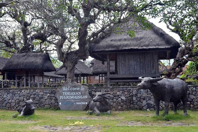 The Charm of east Bali and Blue Lagoon Snorkeling - Practical Details and Value