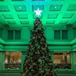 The Christmas Tree Crawl Experience Chicago at the Holidays - FAQ