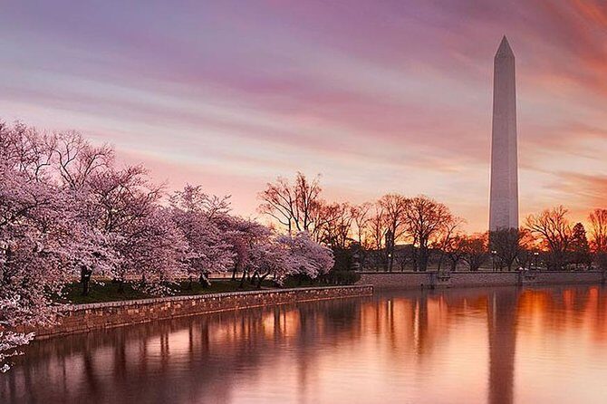 The DC Cherry Blossom Tour - Who Will Love This Tour?
