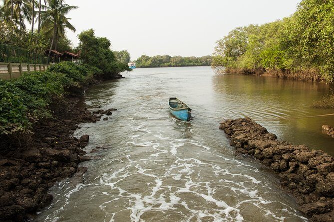 The Divar Island Exploration - What Makes This Tour Stand Out?