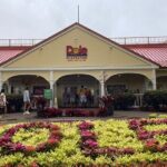 "The Dole Plantation" & "North Shore" Private Limousine VIP Tour! - FAQ