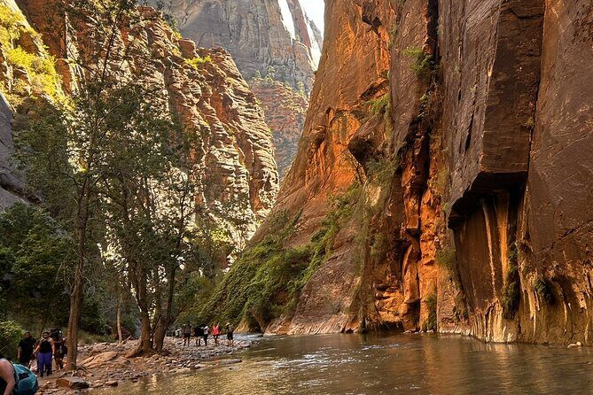 The Famous Narrows Trail in Zion National Park - Who Should Consider This Tour?