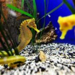 The Florida Aquarium in Tampa General Admission - The Sum Up: Is the Florida Aquarium Worth It?