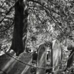 The Ghosts of Salem Walking Tour - Who Will Love This Tour?