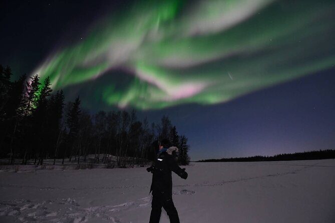 The Greatest Valuable Aurora Manor & Hunting Tour --Exclusive Tour Operator - Frequently Asked Questions