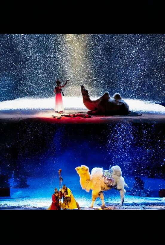 The Legend Of Camel Bell In XiAn - The Experience in Detail