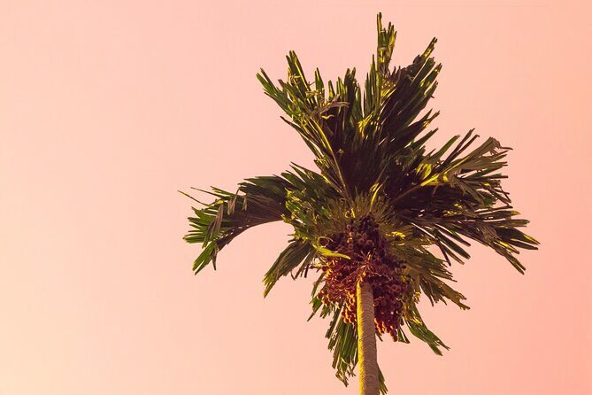 The Legends & Icons Tour of Palm Springs - Who Should Consider This Tour?