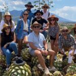 The Mezcal Journey - Who Should Take This Tour?