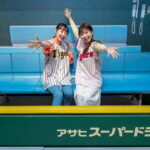 The Museum of Hanshin Koshien Stadium Entry Ticket - Key Points