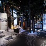 The National WWII Museum Campus Pass plus 4-D Film - Who Will Love This Experience?