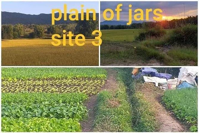 The Old capital tour combined with Plain off jars - Who Will Love This Tour?