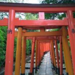 The Old Quarter of Tokyo - Yanaka Walking Tour - Deep Dive Into the Yanaka Experience