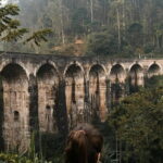 The Pekoe Trail Stage 16- Ella to Demodara - Who Should Book This Tour?