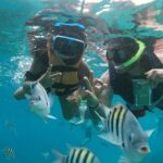 The Perfect Day in Chankanaab Park Cozumel - Practical Tips and Considerations
