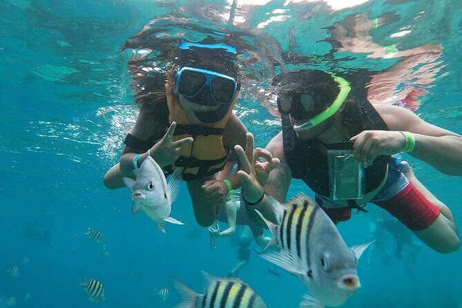 The Perfect Day in Chankanaab Park Cozumel - Practical Tips and Considerations