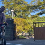 The Professional Gardener Guides Tokyo Garden by E-bike - The Sum Up: Who Will Love This Tour?