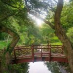 The Romantic Side of Williamsburg  Walking Tour - Who Should Consider This Tour?