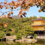 The Spirit of Tokyo: Past, Present, Forever In A Guided Tour - Who Will Enjoy This Tour?