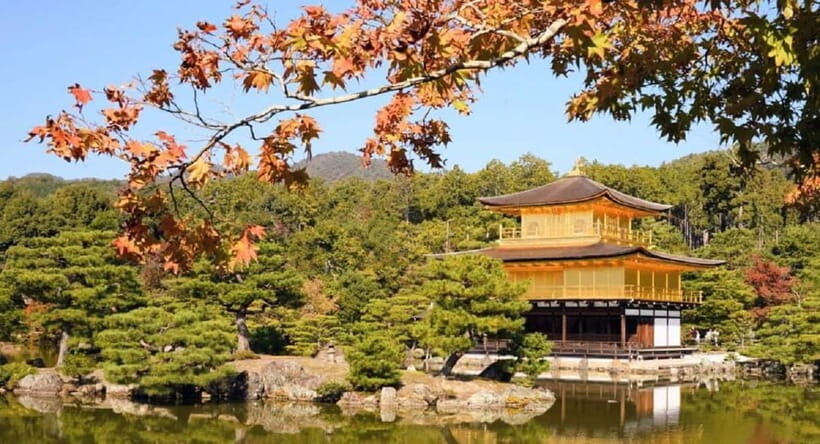 The Spirit of Tokyo: Past, Present, Forever In A Guided Tour - Who Will Enjoy This Tour?