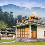 The Spiritual Trails of Dharamshala(Guided Walking Tour) - Inside the Dalai Lama Compound: House, Museum, and Libraries