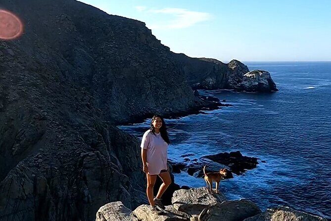 The Ultimate Camel Safari Experience in Los Cabos - Who Is This Tour Best For?