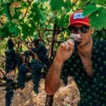 The Ultimate Wine Country Experience ( Private & All-Inclusive) - Final Thoughts