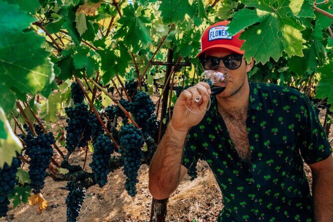 The Ultimate Wine Country Experience ( Private & All-Inclusive) - Final Thoughts