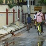 The Unique Pondicherry City Bike Tour - Final Thoughts: Is It Worth It?