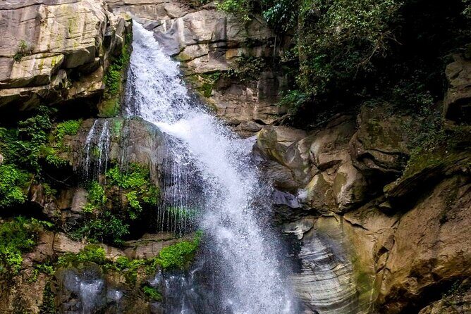 The World`s Most Beautiful Train Trip Kandy to Ella Private Day Tour - The Itinerary: What to Expect