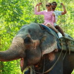 TheActivity that won the Best Tourist Attraction in SriLanka - Who Should Consider This Tour?