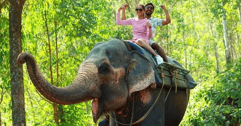 TheActivity that won the Best Tourist Attraction in SriLanka - Who Should Consider This Tour?