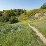 Theodore Roosevelt South Unit Self-Guided Driving Audio Tour - FAQs