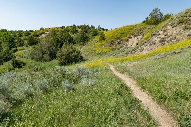 Theodore Roosevelt South Unit Self-Guided Driving Audio Tour - FAQs