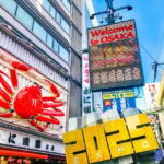 This is The Best Walking Tour, All Must-sees in Osaka! - The Practicalities: What to Expect