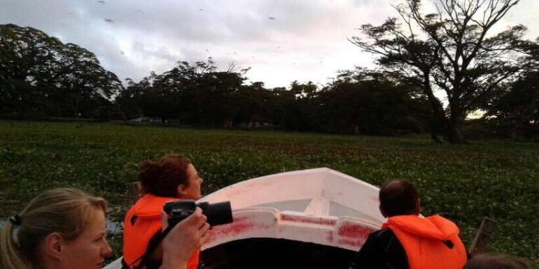 Thissa Lake Boat Safari - Final Thoughts: Is This Tour for You?