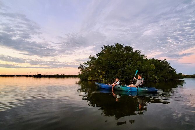 Thousand Islands Mangrove Tunnel Sunset Kayak Tour with Cocoa Kayaking! - Final Thoughts