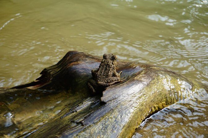Three days orangutans adventure in Gunung Leuser - Why This Tour Represents Good Value