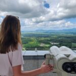 Thrilling Korean DMZ 3rd Tunnel Tour from Seoul + Red Bridge Rush - Who Should Take This Tour?