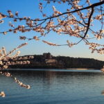 Tiananmen Square, Forbidden City and Cruise to the Summer Palace - Analyzing Value and Practicality