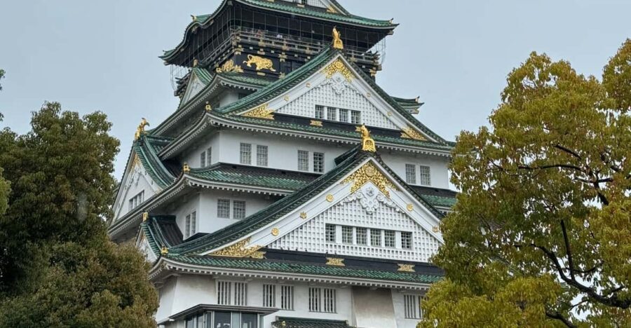(Ticket Included) Explore Osaka Castle & Museum of History - Who Will Love This Tour?