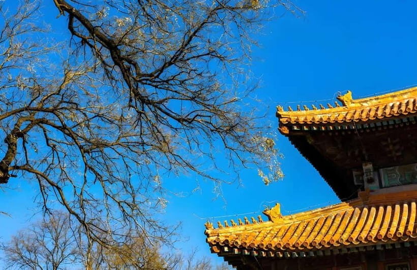 Tickets to all Beijing attractions (Forbidden City optional) - Who Will Love This Tour?