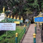 Tiger Cave and Emerald Pool Jungle Tour - What the Tour Includes and Excludes