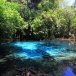 Tiger Cave Temple, Emerald Pool & Hot Springs Tour from Krabi - Why This Tour Stands Out
