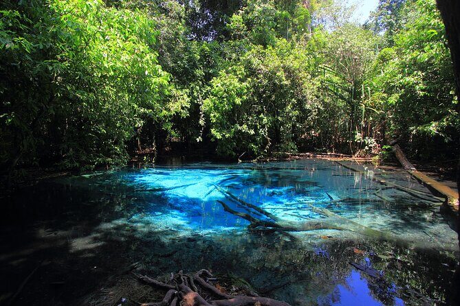 Tiger Cave Temple, Emerald Pool & Hot Springs Tour from Krabi - Why This Tour Stands Out