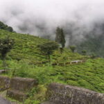 Tiger Hill Sunrise and Hiking Tour from Darjeeling - Potential Drawbacks and Considerations