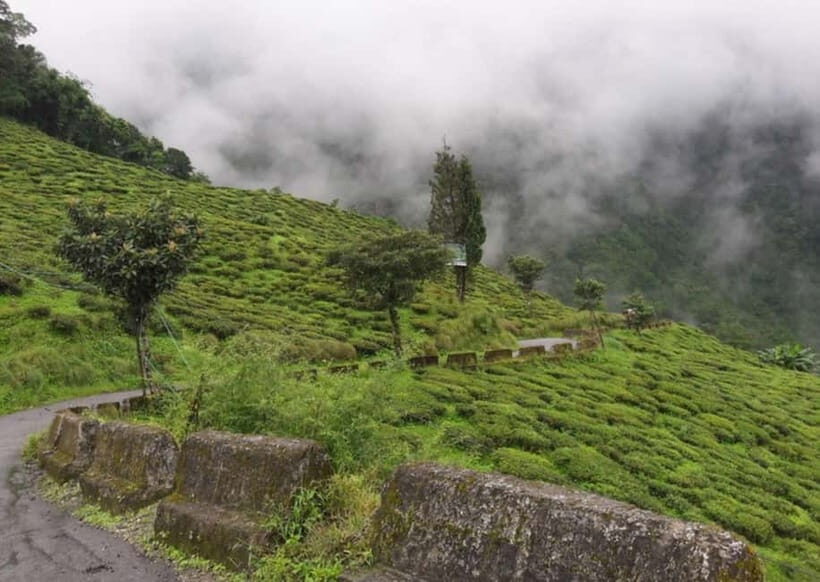 Tiger Hill Sunrise and Hiking Tour from Darjeeling - Potential Drawbacks and Considerations